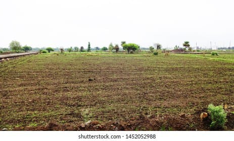  Industrial Land 1500 Sq.ft. for Sale in Savner, Nagpur