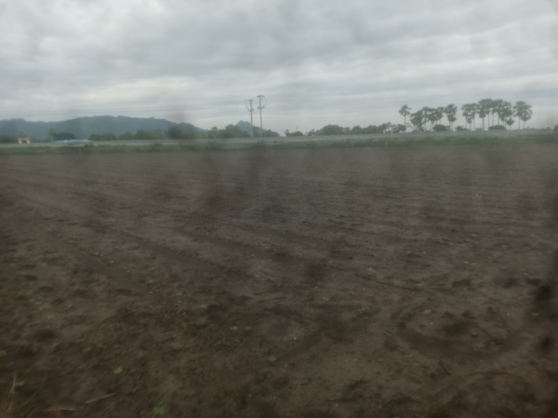  Agricultural Land 88 Cent for Sale in Narasaraopet, Guntur