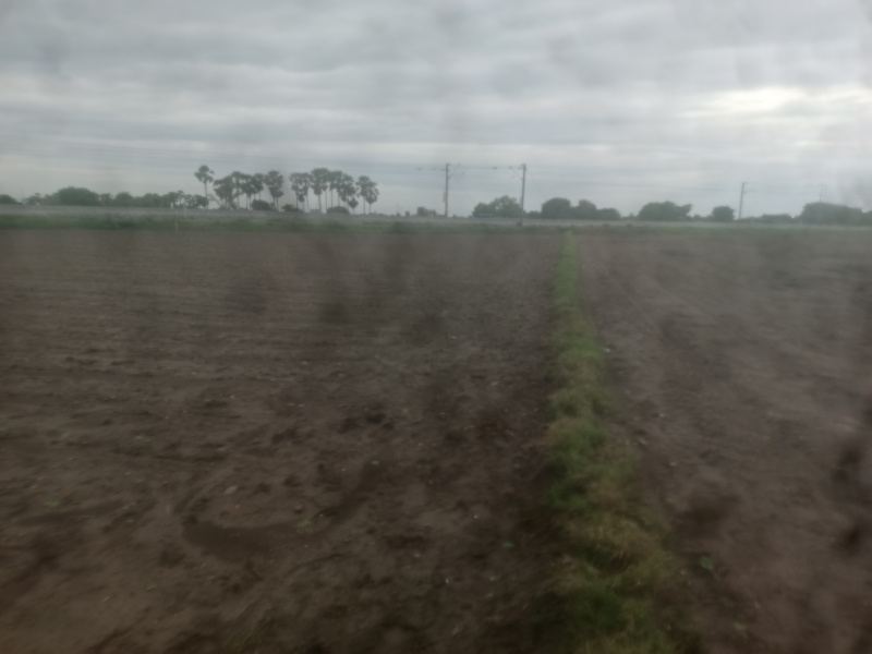  Agricultural Land 88 Cent for Sale in Narasaraopet, Guntur