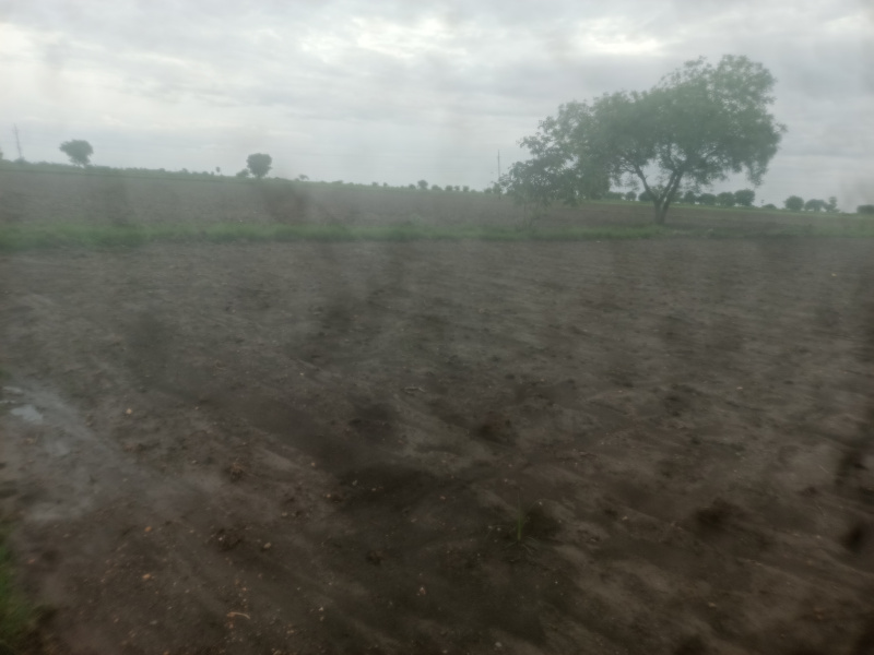  Agricultural Land 88 Cent for Sale in Narasaraopet, Guntur