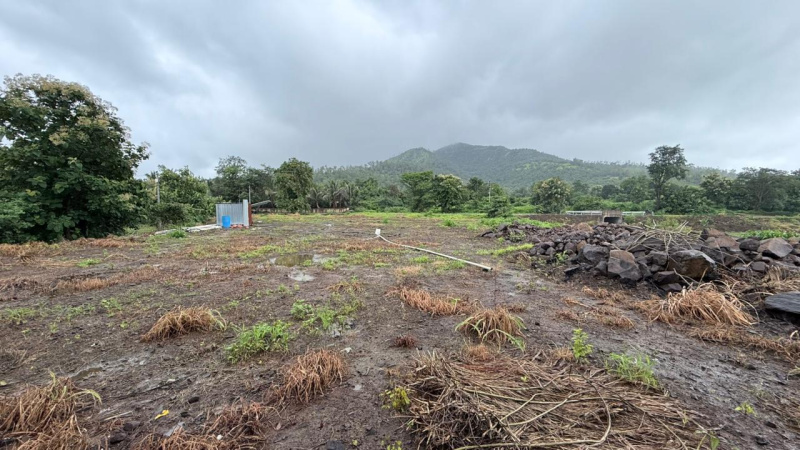  Commercial Land 1 Acre for Rent in Bhor, Pune