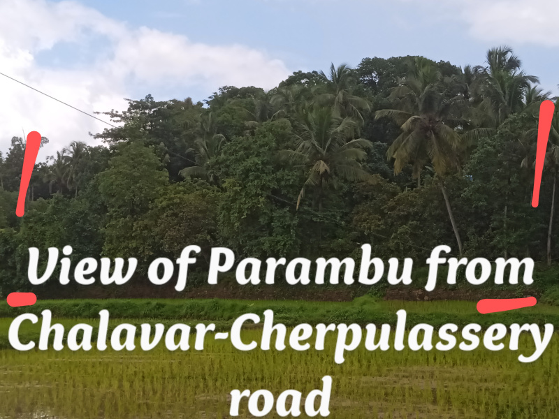  Residential Plot 62 Cent for Sale in Cherpulassery, Palakkad