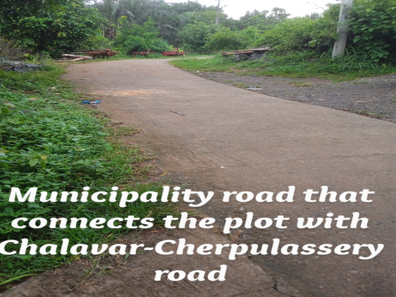  Residential Plot 62 Cent for Sale in Cherpulassery, Palakkad