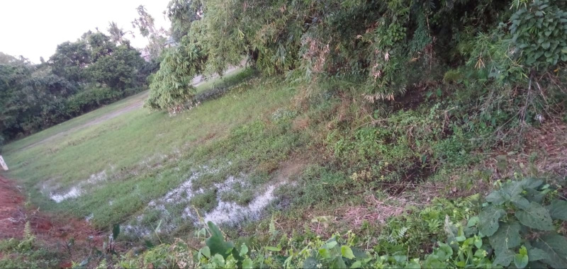  Residential Plot 1 Katha for Sale in Dharmanagar, North Tripura