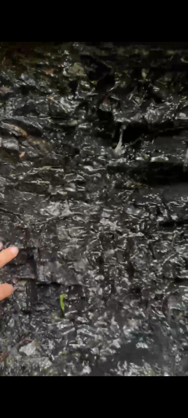  3000 Acre Commercial Land for Rent in Jawai, West Jaintia Hills