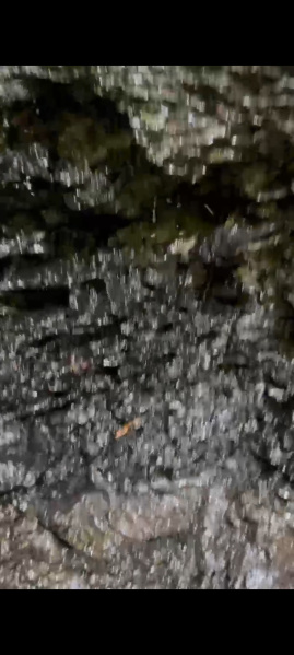  3000 Acre Commercial Land for Rent in Jawai, West Jaintia Hills