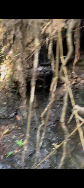  3000 Acre Commercial Land for Rent in Jawai, West Jaintia Hills