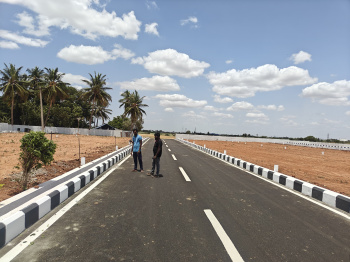  Residential Plot for Sale in Panjapur, Tiruchirappalli