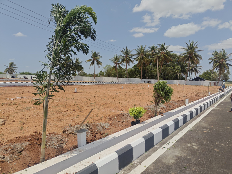  1200 Sq.ft. Residential Plot for Sale in Panjapur, Tiruchirappalli