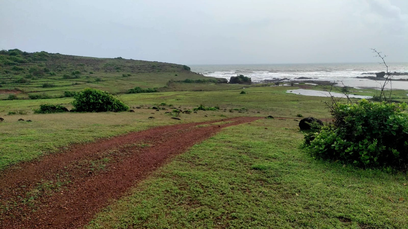  Commercial Land 10 Acre for Sale in Mopa, Goa