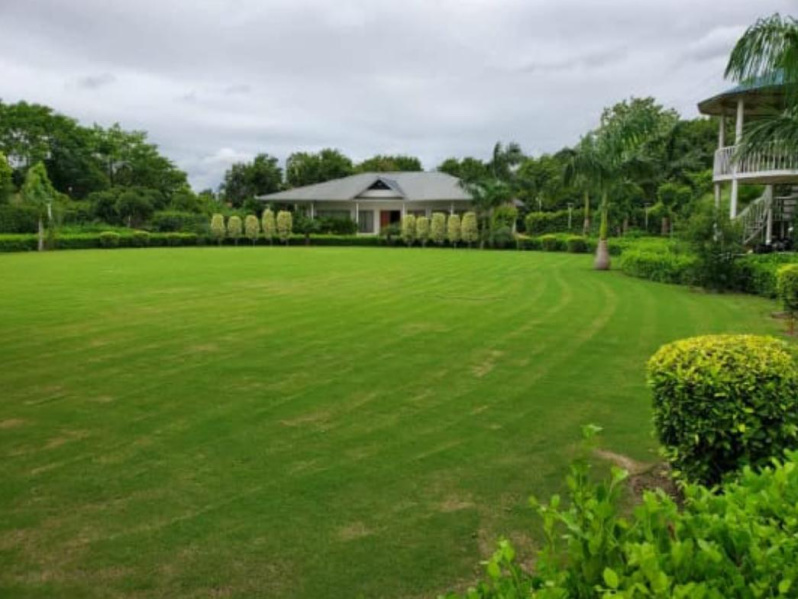  Residential Plot 1250 Sq. Yards for Sale in Naugaon, Alwar