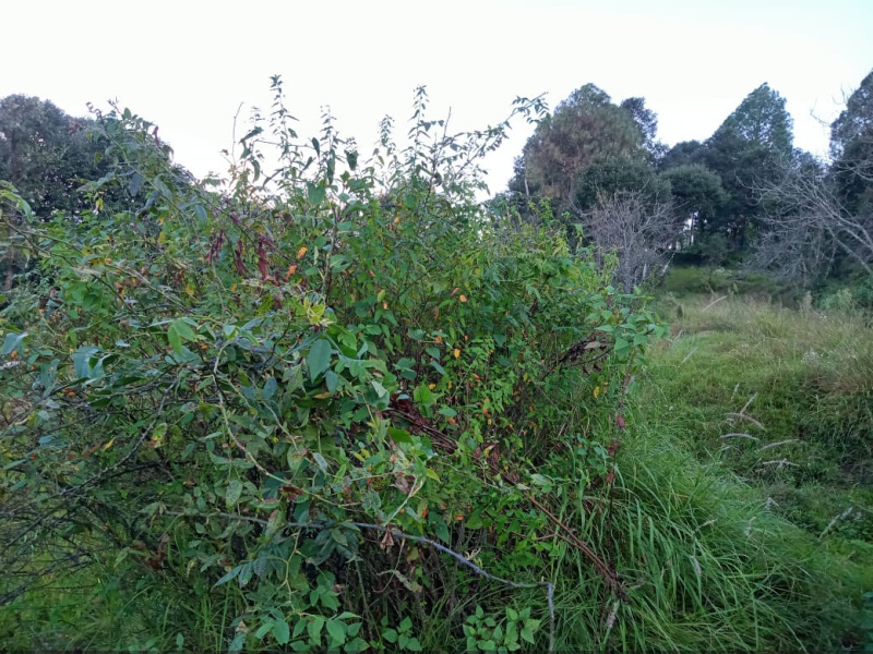  Residential Plot 4840 Sq. Yards for Sale in Chamba, Tehri Garhwal