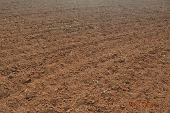  Agricultural Land for Sale in Udayagiri, Nellore
