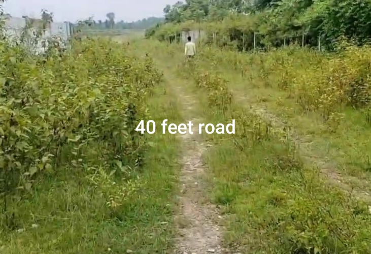  Commercial Land 470021 Sq.ft. for Sale in Namkum, Ranchi