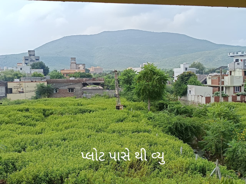  Residential Plot 234 Sq. Yards for Sale in Palitana, Bhavnagar
