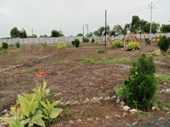  Agricultural Land for Sale in Amrawati, Nagpur