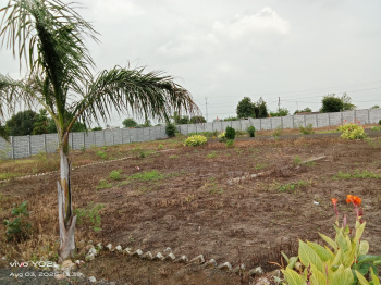  Agricultural Land for Sale in Amrawati, Nagpur