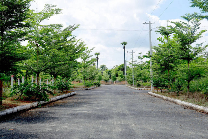  Residential Plot 900 Sq.ft. for Sale in Yelahanka, Bangalore