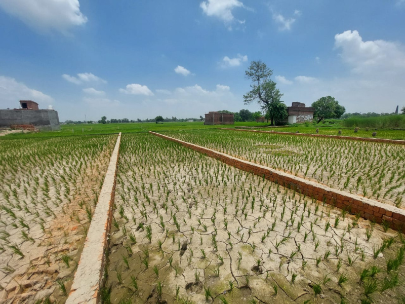  Residential Plot 1000 Sq.ft. for Sale in Kusumhi Bazar, Gorakhpur