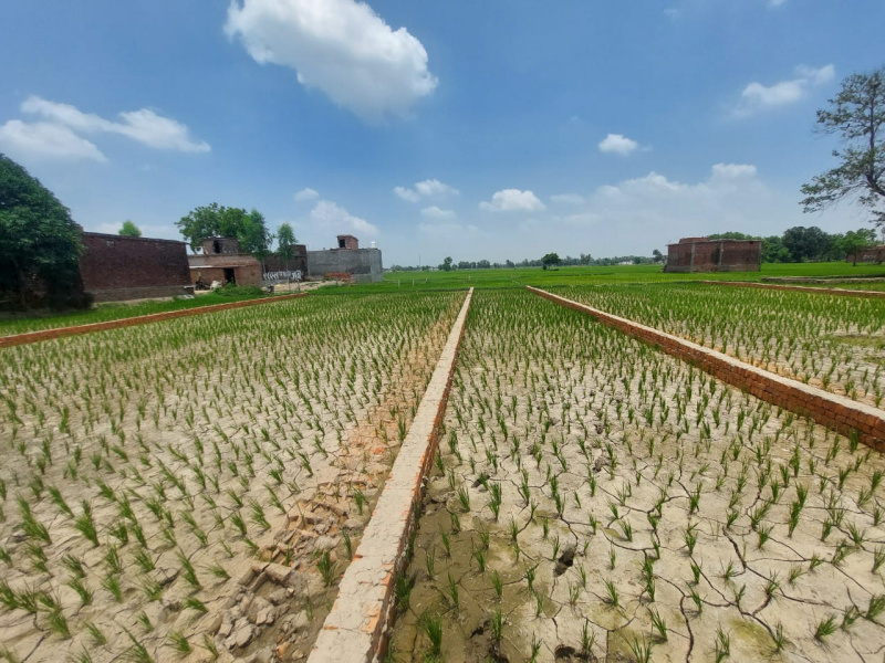  Residential Plot 1000 Sq.ft. for Sale in Kusumhi Bazar, Gorakhpur