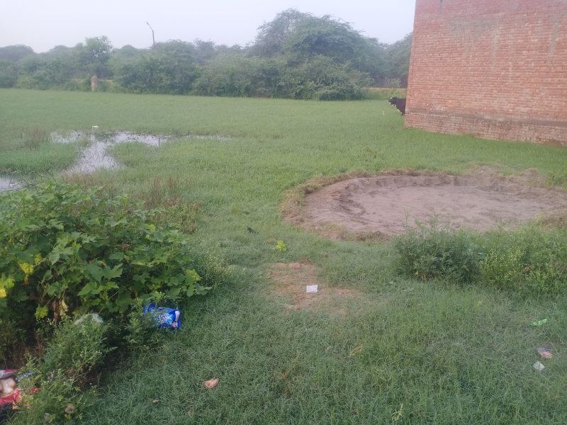  100 Sq.ft. Residential Plot for Sale in Shanti Nagar, Firozpur