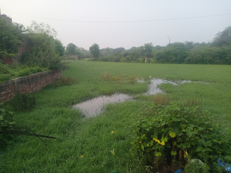  100 Sq.ft. Residential Plot for Sale in Shanti Nagar, Firozpur