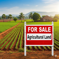  Agricultural Land for Sale in Kharar, Bahadurgarh