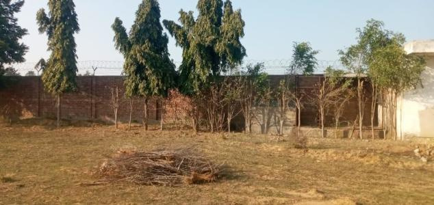  Agricultural Land 2 Acre for Sale in Sohna Road, Faridabad