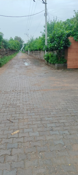  Agricultural Land 5 Acre for Sale in Sohna Road, Faridabad