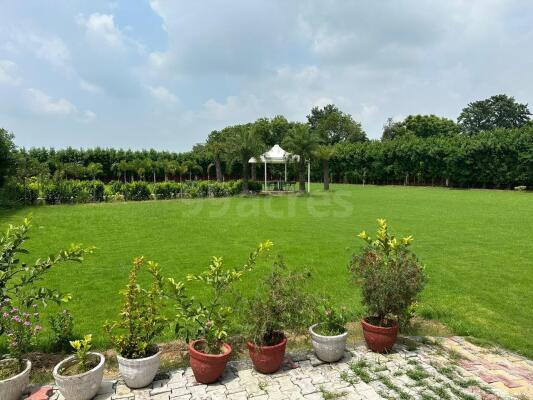 2 BHK Farm House 3 Acre for Sale in Chattarpur Extension, Delhi