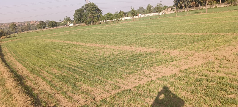 1 RK Farm House 1 Acre for Sale in Sohna Road, Gurgaon