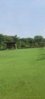 2 BHK Farm House 2 Acre for Sale in Sohna Road, Gurgaon