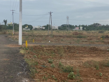  Residential Plot for Sale in Karumandapam, Tiruchirappalli