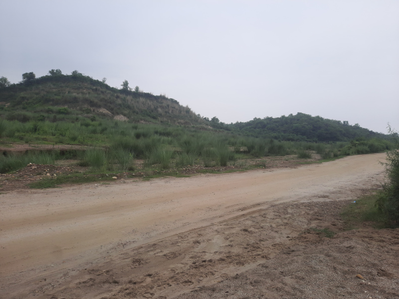  Agricultural Land 145 Acre for Sale in Haroli, Una