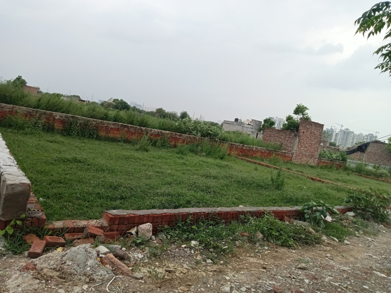 900 Sq.ft. Residential Plot for Sale in Sector 121 Noida