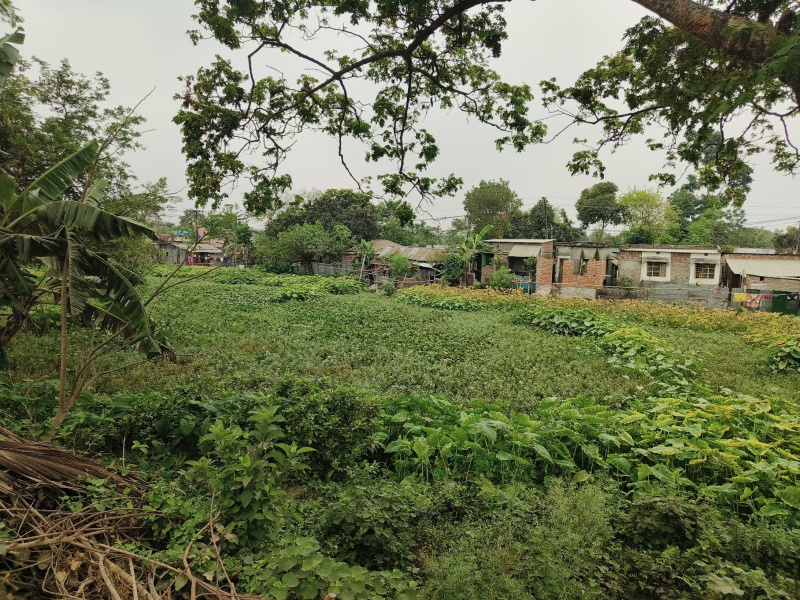  Commercial Land 570 Katha for Sale in Raiganj, Uttar Dinajpur