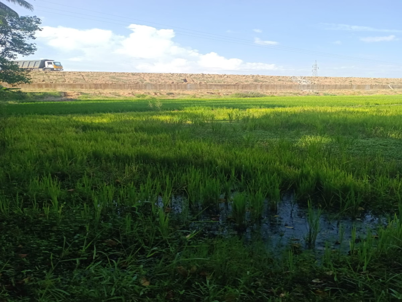  Agricultural Land 9 Cent for Sale in Agastheeswaram, Kanyakumari