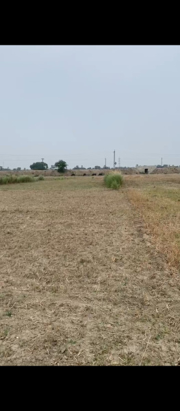  1200 Sq.ft. Residential Plot for Sale in Sonepur, Patna