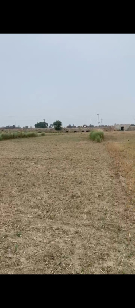  1200 Sq.ft. Residential Plot for Sale in Sonepur, Patna