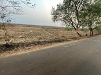  Residential Plot for Sale in Jatani, Bhubaneswar