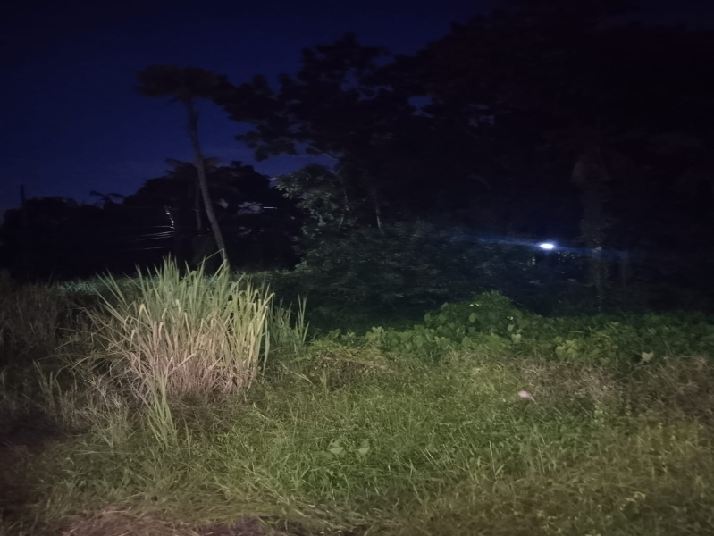  Residential Plot 10 Cent for Sale in Elamkunnapuzha, Kochi