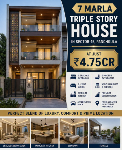 6 BHK 176 Sq. Yards House for Sale in Sector 15 Panchkula