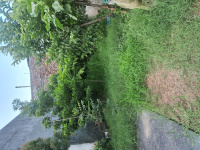 4 BHK House for Sale in Nilpur, Rajpura