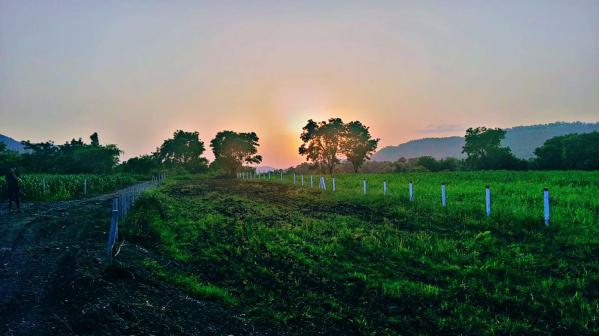  Residential Plot 4000 Sq.ft. for Sale in Old Palasia, Indore