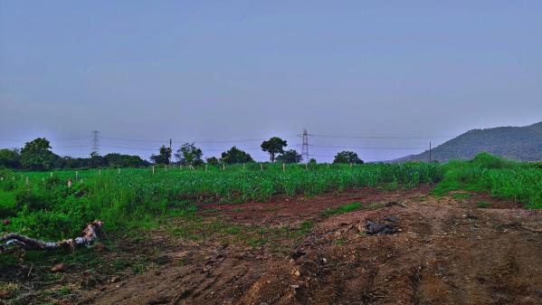  Residential Plot 4000 Sq.ft. for Sale in A B Road, Indore