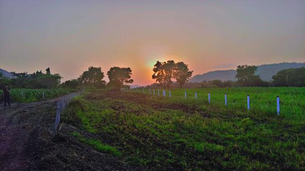  Residential Plot 4000 Sq.ft. for Sale in A B Road, Indore