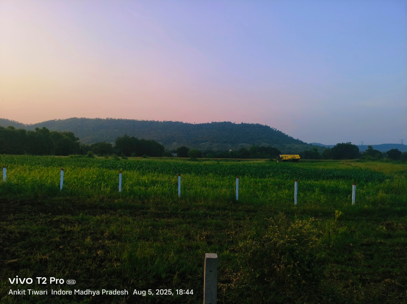  Residential Plot 4000 Sq.ft. for Sale in A B Road, Indore