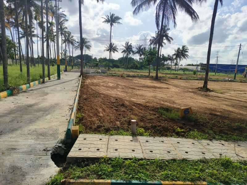  Residential Plot 1200 Sq.ft. for Sale in Arasinakunte, Nelamangala, Bangalore