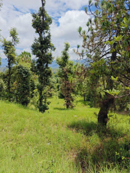  Residential Plot for Sale in Shaharfatak, Almora