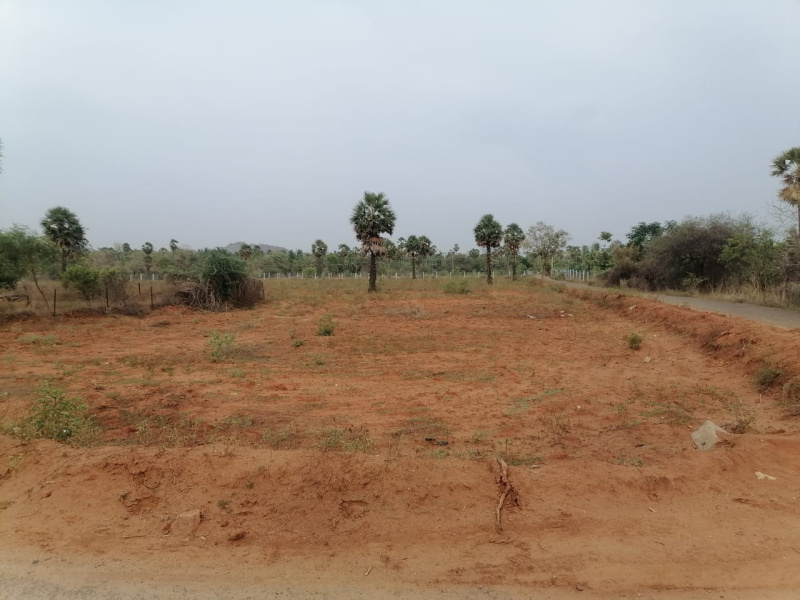  3 Acre Agricultural/Farm Land for Sale in Anna Nagar, Virudhunagar